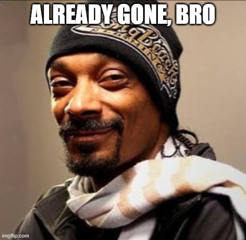 Snoop dogg high on weed | ALREADY GONE, BRO | image tagged in snoop dogg high on weed | made w/ Imgflip meme maker