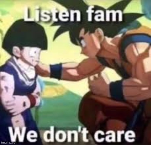 Listen fam we don't care | image tagged in listen fam we don't care | made w/ Imgflip meme maker
