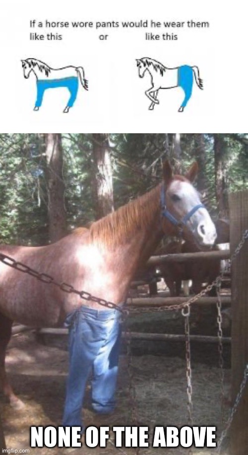 How would a horse wear pants? | NONE OF THE ABOVE | image tagged in pants,jeans,horse,horses | made w/ Imgflip meme maker