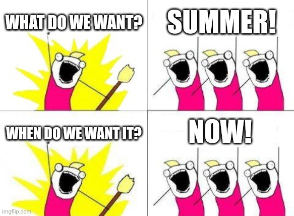 :D | WHAT DO WE WANT? SUMMER! NOW! WHEN DO WE WANT IT? | image tagged in memes,what do we want | made w/ Imgflip meme maker