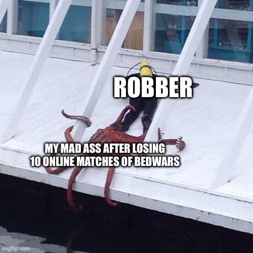 A N G R Y | ROBBER; MY MAD ASS AFTER LOSING 10 ONLINE MATCHES OF BEDWARS | image tagged in octopus,angry,fight me,oh wow are you actually reading these tags,minecraft | made w/ Imgflip meme maker