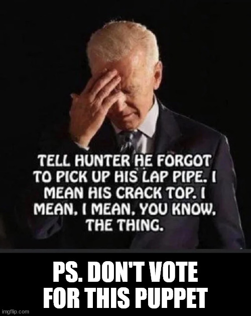 They want to distract you from their puppet... don't be... | PS. DON'T VOTE FOR THIS PUPPET | image tagged in biden,puppet,dementia joe,know what you voted for | made w/ Imgflip meme maker