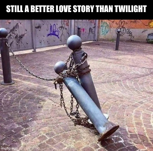 These poles are still a better love story than twilight | STILL A BETTER LOVE STORY THAN TWILIGHT | image tagged in poles,still a better love story than twilight,twilight,chain,chains,love | made w/ Imgflip meme maker