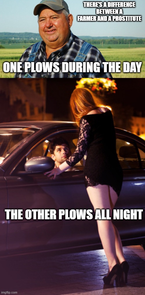 Plowing | THERE'S A DIFFERENCE BETWEEN A FARMER AND A PROSTITUTE; ONE PLOWS DURING THE DAY; THE OTHER PLOWS ALL NIGHT | image tagged in farmer honest work,prostitute | made w/ Imgflip meme maker