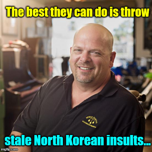 Best I can DO | The best they can do is throw stale North Korean insults... | image tagged in best i can do | made w/ Imgflip meme maker