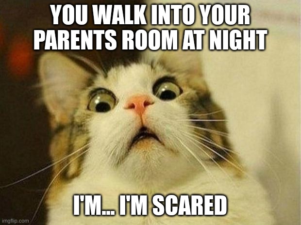 IM SCARED | YOU WALK INTO YOUR PARENTS ROOM AT NIGHT; I'M... I'M SCARED | image tagged in memes,scared cat | made w/ Imgflip meme maker