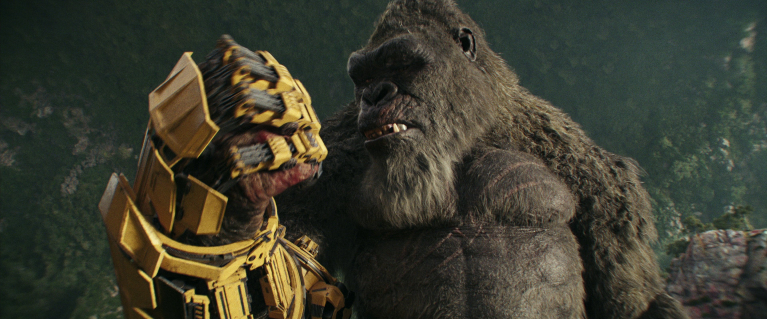 High Quality Kong glove Blank Meme Template