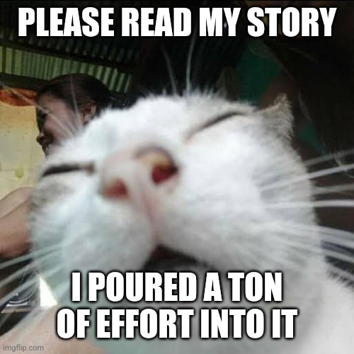 Pleaze | PLEASE READ MY STORY; I POURED A TON OF EFFORT INTO IT | image tagged in squinting eyes cat | made w/ Imgflip meme maker