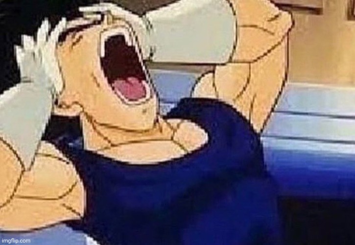 Vegeta screaming | image tagged in vegeta screaming | made w/ Imgflip meme maker