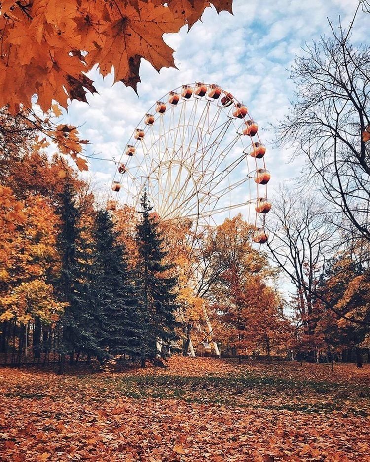 Ferris Wheel In Fall Blank Meme Template