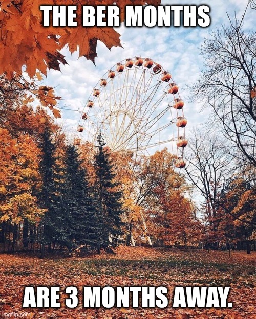 The Ber Months are 3 months away. | THE BER MONTHS; ARE 3 MONTHS AWAY. | image tagged in ferris wheel in fall | made w/ Imgflip meme maker