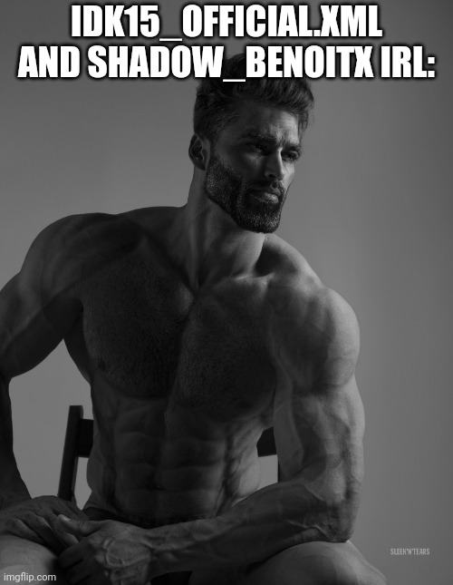 Giga Chad | IDK15_OFFICIAL.XML AND SHADOW_BENOITX IRL: | image tagged in giga chad | made w/ Imgflip meme maker