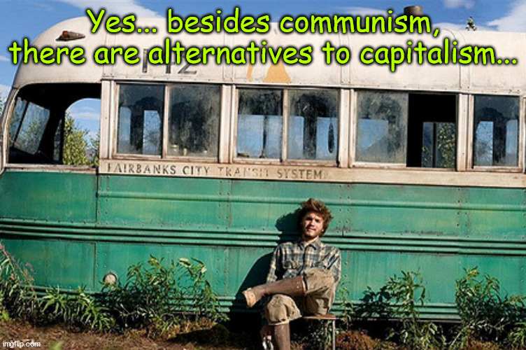 When your socialist/communist friends despair about capitalism... | Yes... besides communism, there are alternatives to capitalism... | image tagged in into the wild,whiners,capitalism sucks | made w/ Imgflip meme maker