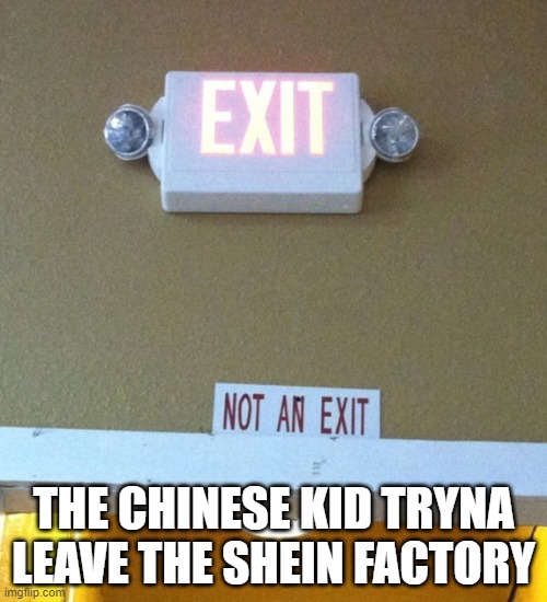 Yeah, but naw. | THE CHINESE KID TRYNA LEAVE THE SHEIN FACTORY | image tagged in yeah but naw | made w/ Imgflip meme maker