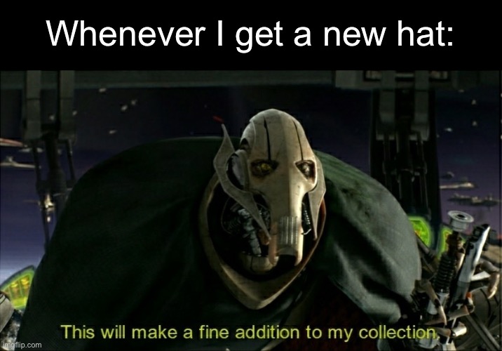 This will make a fine addition to my collection | Whenever I get a new hat: | image tagged in this will make a fine addition to my collection | made w/ Imgflip meme maker