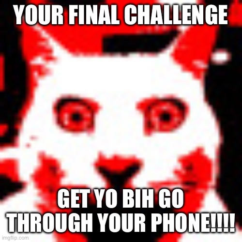 weed | YOUR FINAL CHALLENGE; GET YO BIH GO THROUGH YOUR PHONE!!!! | image tagged in weed | made w/ Imgflip meme maker