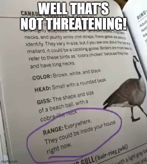 uh | WELL THAT'S NOT THREATENING! | image tagged in goose,bird | made w/ Imgflip meme maker