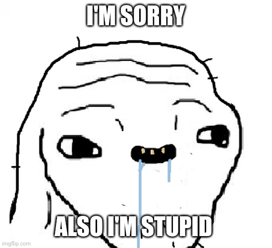 Stupid face | I'M SORRY; ALSO I'M STUPID | image tagged in stupid face | made w/ Imgflip meme maker