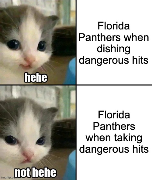 Cute cat hehe and not hehe | Florida Panthers when dishing dangerous hits; Florida Panthers when taking dangerous hits | image tagged in cute cat hehe and not hehe | made w/ Imgflip meme maker