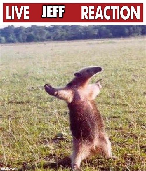 JEFF | image tagged in live x reaction,ant-eater | made w/ Imgflip meme maker