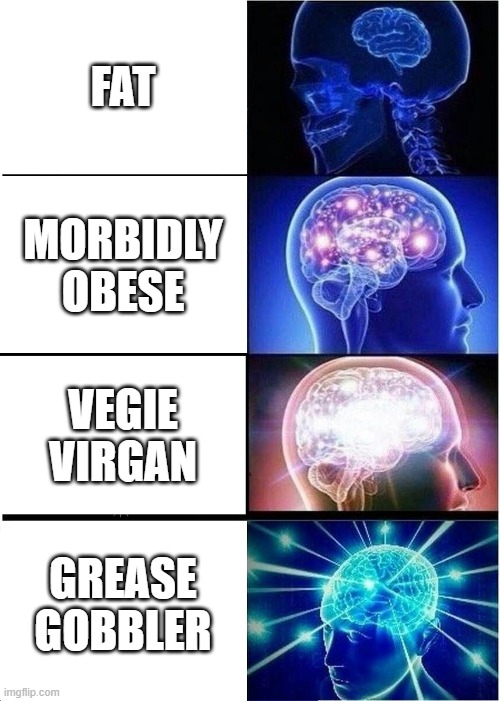 fat | FAT; MORBIDLY OBESE; VEGIE VIRGAN; GREASE GOBBLER | image tagged in memes,expanding brain | made w/ Imgflip meme maker