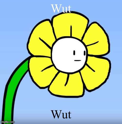 Wut Flowey | Wut Wut | image tagged in wut flowey | made w/ Imgflip meme maker