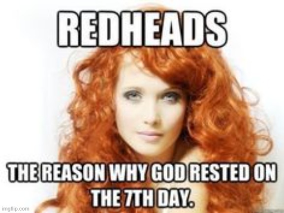 A Repost from somebody else but what the heck, sounds good to me. | image tagged in redheads | made w/ Imgflip meme maker