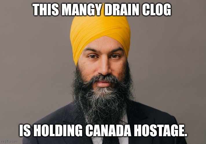 Canada needs guillotines | image tagged in meanwhile in canada | made w/ Imgflip meme maker