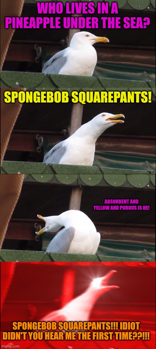 If nautical nonsense be something you wish? | WHO LIVES IN A PINEAPPLE UNDER THE SEA? SPONGEBOB SQUAREPANTS! ABSORBENT AND YELLOW AND POROUS IS HE! SPONGEBOB SQUAREPANTS!!! IDIOT DIDN'T YOU HEAR ME THE FIRST TIME??!!! | image tagged in memes,inhaling seagull | made w/ Imgflip meme maker