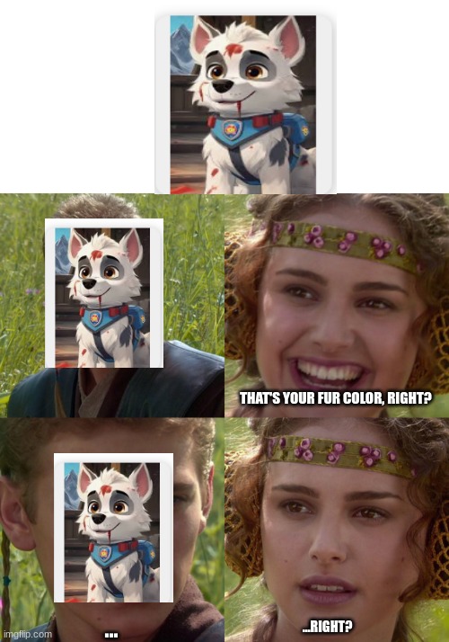 found on Google | THAT'S YOUR FUR COLOR, RIGHT? ... ...RIGHT? | image tagged in blank white template,anakin padme 4 panel | made w/ Imgflip meme maker