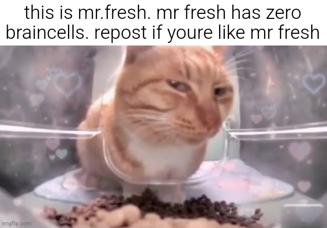 this is mr.fresh. mr fresh has zero braincells. repost if youre like mr fresh | made w/ Imgflip meme maker