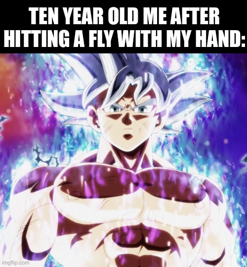 *Ultra instinct theme intensifies* | TEN YEAR OLD ME AFTER HITTING A FLY WITH MY HAND: | image tagged in mastered ultra instinct goku | made w/ Imgflip meme maker