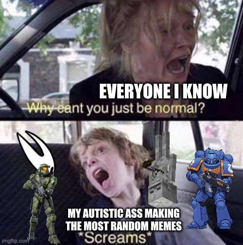 Why Can't You Just Be Normal | EVERYONE I KNOW MY AUTISTIC ASS MAKING THE MOST RANDOM MEMES | image tagged in why can't you just be normal | made w/ Imgflip meme maker