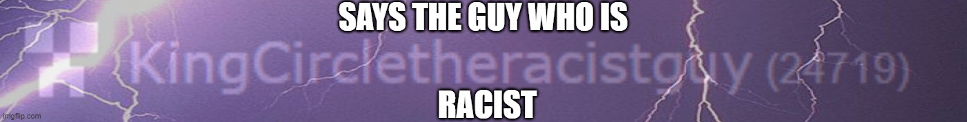 idk | SAYS THE GUY WHO IS; RACIST | image tagged in says the guy who is | made w/ Imgflip meme maker