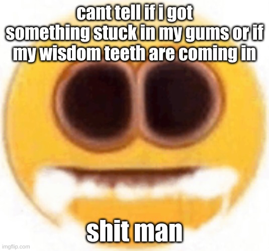 s h i t | cant tell if i got something stuck in my gums or if my wisdom teeth are coming in; shit man | image tagged in emoji foaming at the mouth | made w/ Imgflip meme maker