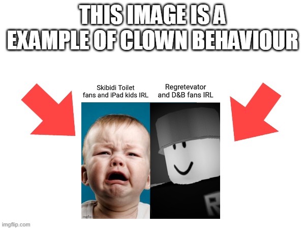 This image is a example of clown behaviour | image tagged in this image is a example of clown behaviour | made w/ Imgflip meme maker