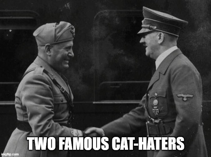 Hitler and Mussolini Hated Cats | TWO FAMOUS CAT-HATERS | image tagged in adolf hitler,benito mussolini,i love cats,i hate fascism,fascism sucks | made w/ Imgflip meme maker