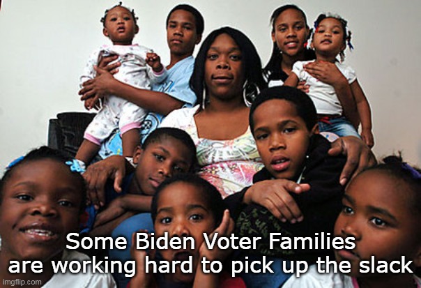 Some Biden Voter Families are working hard to pick up the slack | made w/ Imgflip meme maker