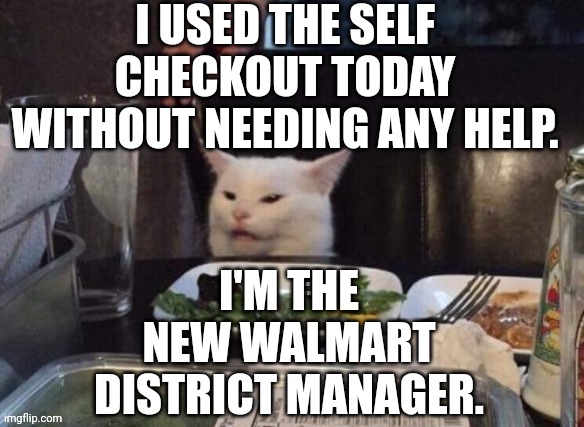Smudge that darn cat | I USED THE SELF CHECKOUT TODAY WITHOUT NEEDING ANY HELP. I'M THE NEW WALMART DISTRICT MANAGER. | image tagged in smudge that darn cat | made w/ Imgflip meme maker