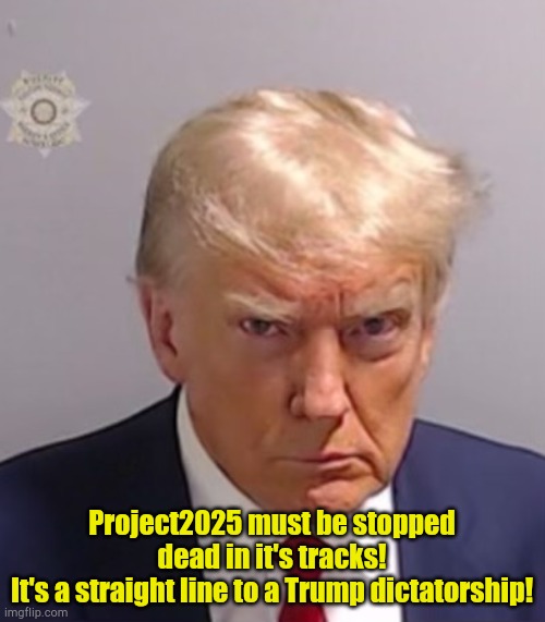 Project2025, The Trump Manifesto. | Project2025 must be stopped dead in it's tracks!
It's a straight line to a Trump dictatorship! | image tagged in donald trump mugshot | made w/ Imgflip meme maker