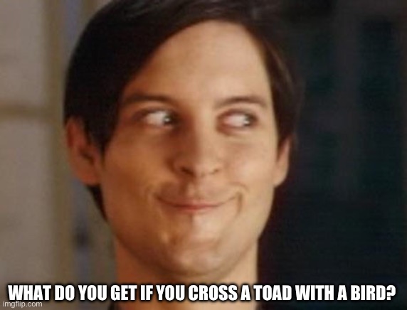 Spiderman Peter Parker | WHAT DO YOU GET IF YOU CROSS A TOAD WITH A BIRD? | image tagged in spiderman peter parker | made w/ Imgflip meme maker