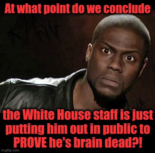 At what point do we conclude the White House staff is just
putting him out in public to
PROVE he's brain dead?! | image tagged in memes,kevin hart,blank black | made w/ Imgflip meme maker