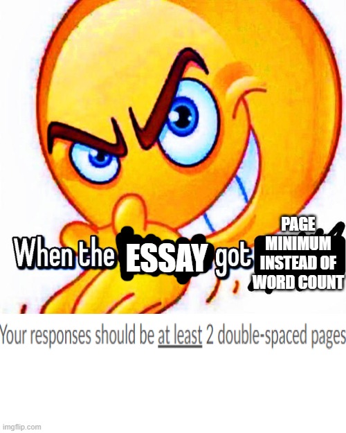 not in middle school but still applies | PAGE MINIMUM INSTEAD OF WORD COUNT; ESSAY | image tagged in when the function got _____ | made w/ Imgflip meme maker