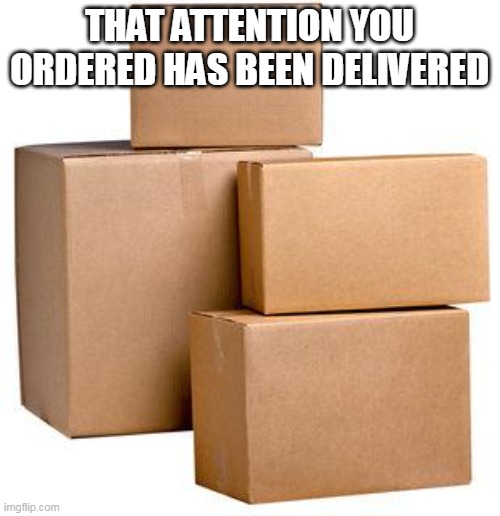 Heres that attention you ordered | THAT ATTENTION YOU ORDERED HAS BEEN DELIVERED | image tagged in heres that attention you ordered | made w/ Imgflip meme maker