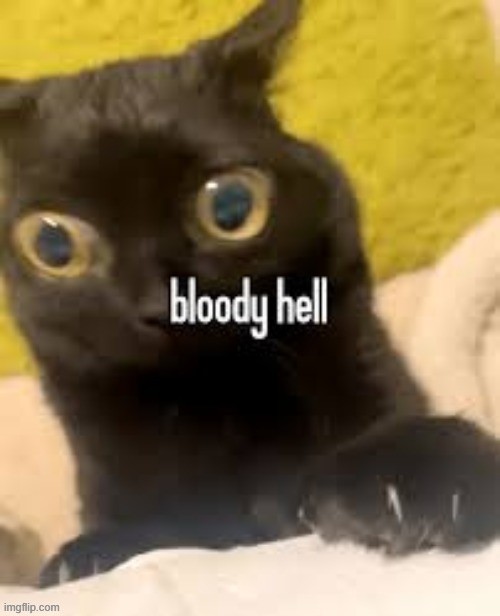 bloody hell | image tagged in bloody hell | made w/ Imgflip meme maker