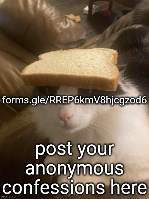 I'll record myself reacting to them | forms.gle/RREP6kmV8hjcgzod6; post your anonymous confessions here | image tagged in bread cat | made w/ Imgflip meme maker