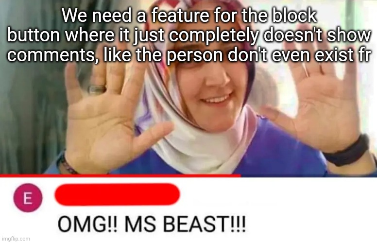 OMG MS BEAST | We need a feature for the block button where it just completely doesn't show comments, like the person don't even exist fr | image tagged in omg ms beast | made w/ Imgflip meme maker