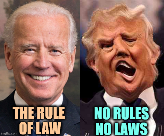 Biden respects the Rule of Law. Trump respects Putin. | THE RULE 
OF LAW; NO RULES
NO LAWS | image tagged in biden solid stable trump acid drugs,biden,rule of law,trump,anarchy,chaos | made w/ Imgflip meme maker