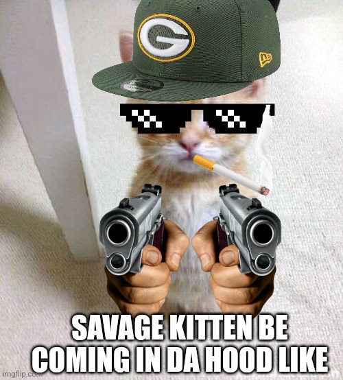 Savage Kitten Hood Swag | SAVAGE KITTEN BE COMING IN DA HOOD LIKE | image tagged in memes,cute cat,savage,ghetto | made w/ Imgflip meme maker