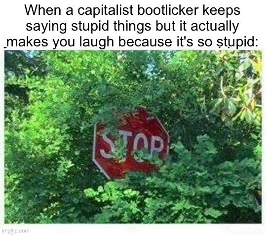 When a capitalist bootlicker keeps saying stupid things but it actually makes you laugh because it's so stupid: | made w/ Imgflip meme maker